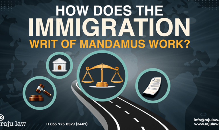 How Does the Immigration Writ of Mandamus Work