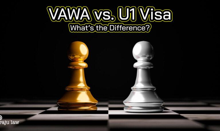 What Is the Difference Between a VAWA Case and a U1 Visa